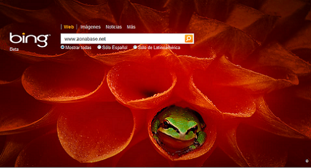 bing1 bing1